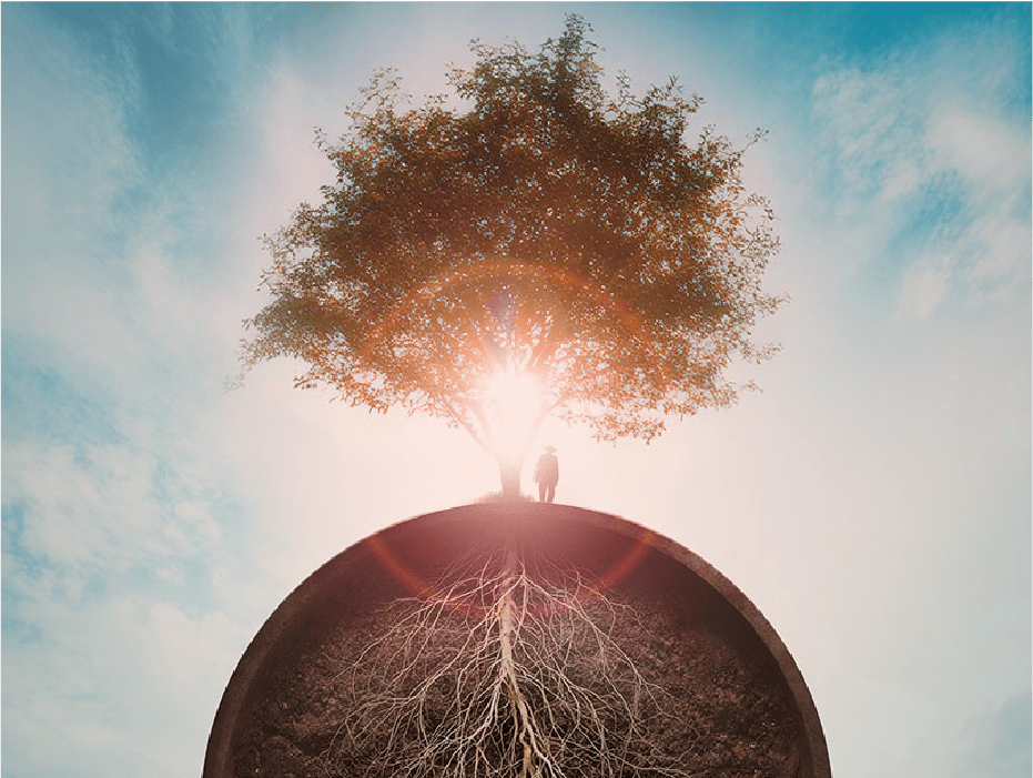 Zomeravond: Eat More Trees